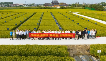 江苏省耕地安全利用推进区（示范基地）项目常熟基地现场会成功召开